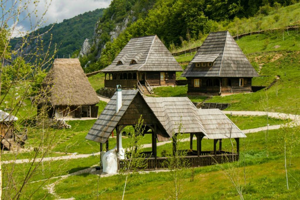 فندق Sălciua de Josفي  Raven'S Nest المظهر الخارجي الصورة