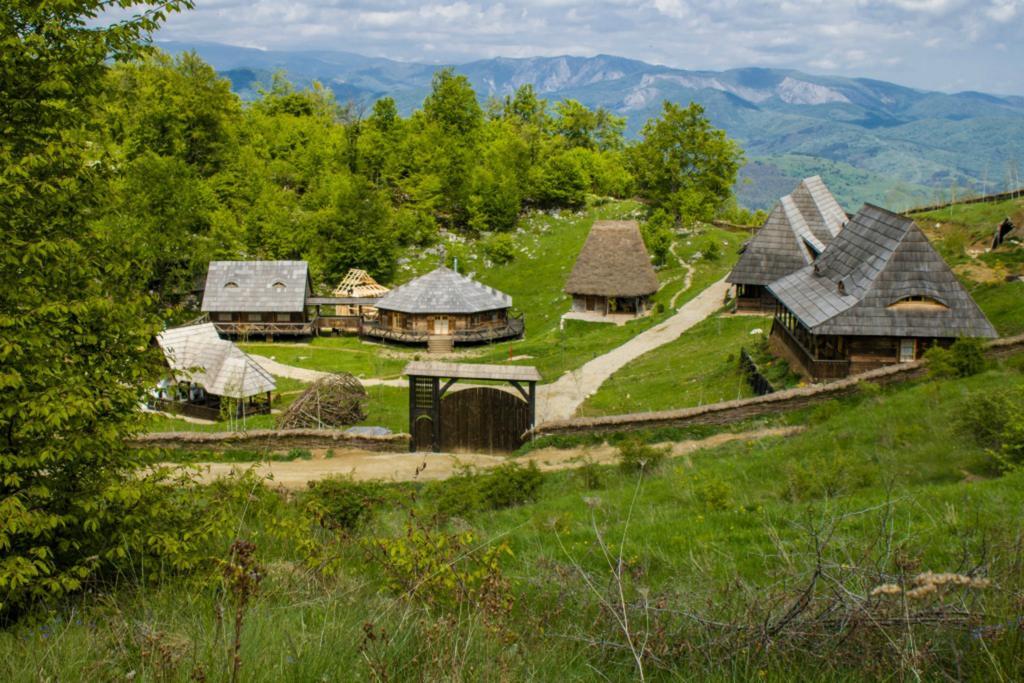 فندق Sălciua de Josفي  Raven'S Nest المظهر الخارجي الصورة