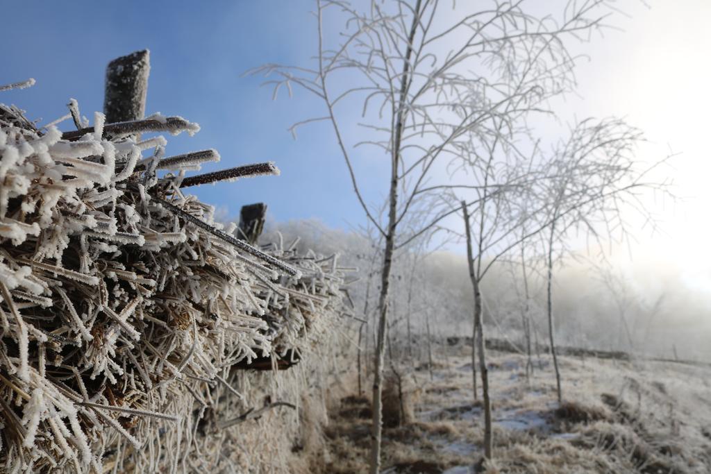 فندق Sălciua de Josفي  Raven'S Nest المظهر الخارجي الصورة