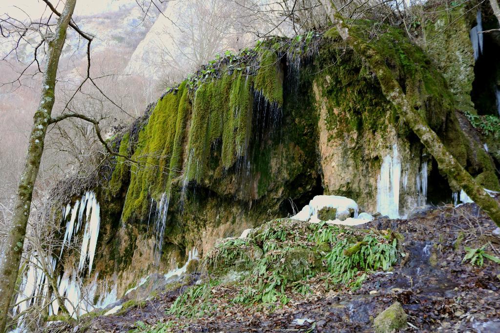 فندق Sălciua de Josفي  Raven'S Nest المظهر الخارجي الصورة