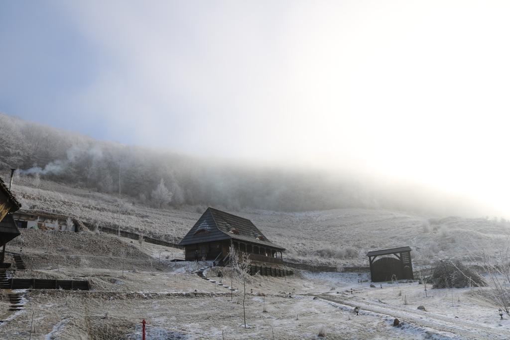 فندق Sălciua de Josفي  Raven'S Nest المظهر الخارجي الصورة