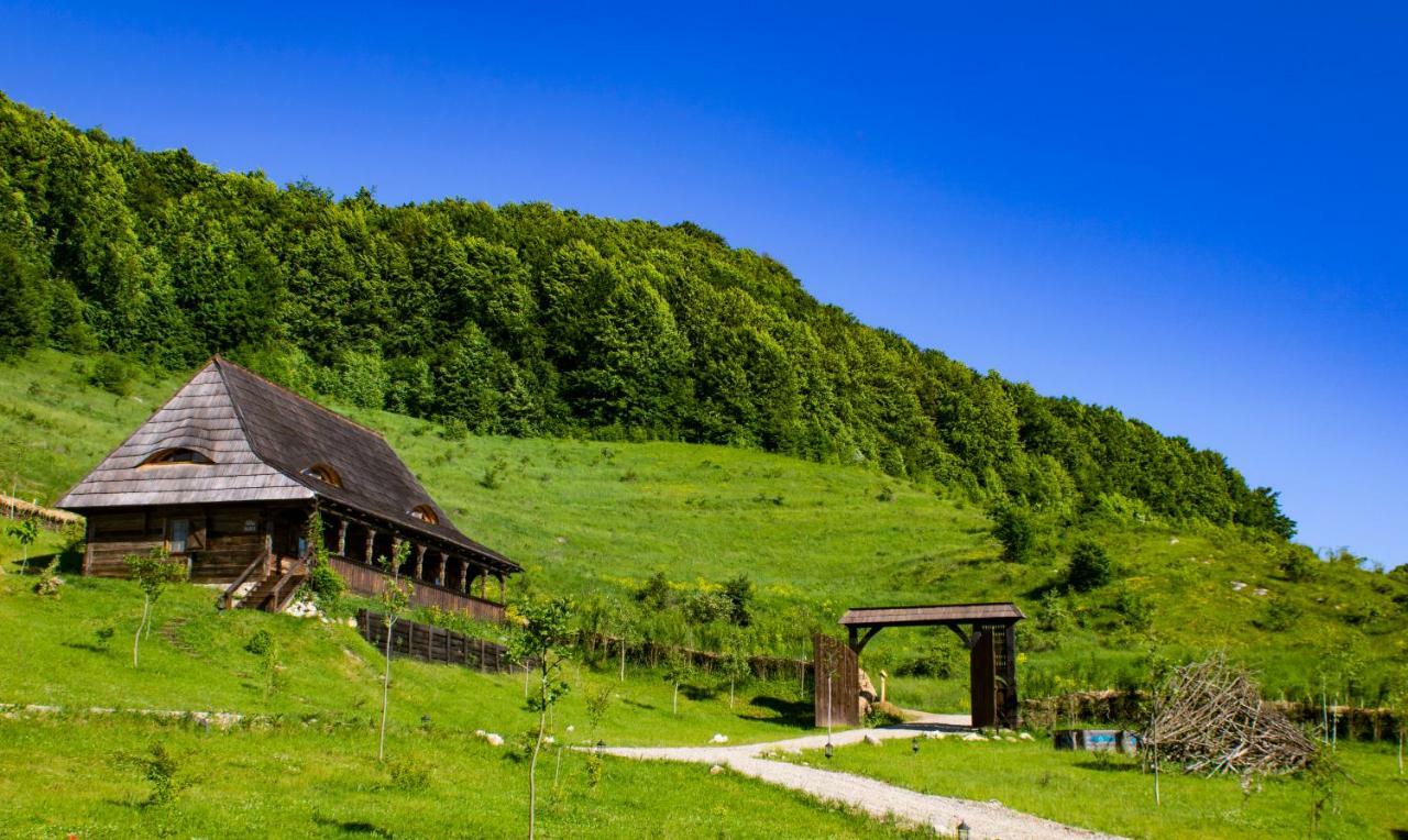 فندق Sălciua de Josفي  Raven'S Nest المظهر الخارجي الصورة
